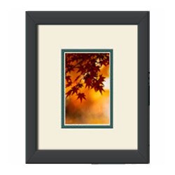 Single Regular Postcard Frame Kit